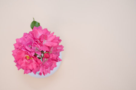 Beautiful pink geraniums flowers in a vase on a light surfaceの写真素材