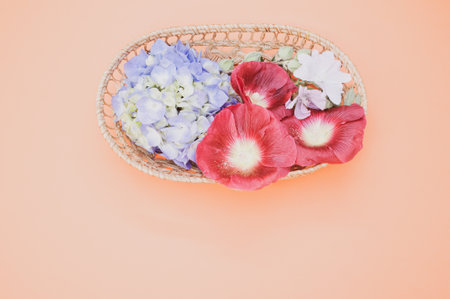 A studio shot of bright flowers in a small basketの写真素材