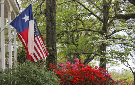 Historic Home With Texas and American Flags Springtimeの写真素材