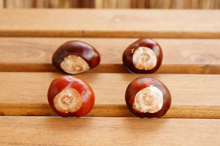 A closeup shot of fresh chestnuts on a wooden surfaceの写真素材