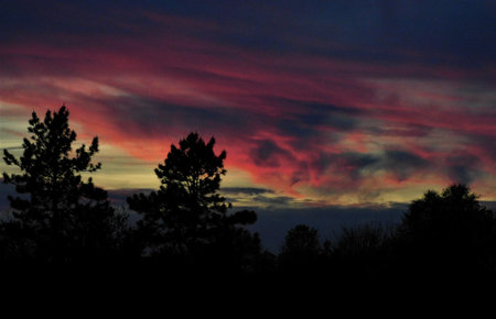 A mesmerizing cloudscape at sunset with trees silhouettes in the foreground