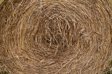 Dry haystack in south of France