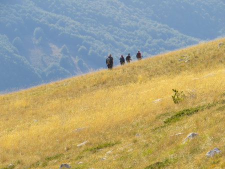A group of tourists on the natural landscapeの写真素材