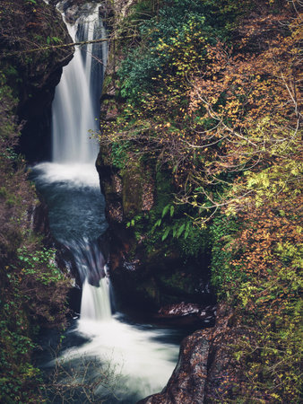 Silky waterfalls of a river with plants and trees in autumn