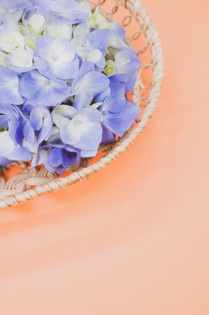 A studio shot of bright flowers in a small basketの写真素材