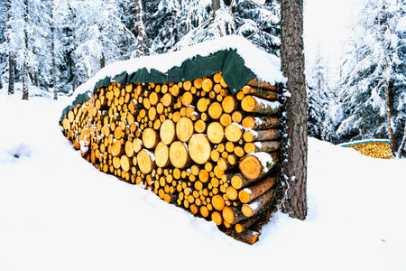 Pile of arranged firewoods on snow in winter forest of Alps