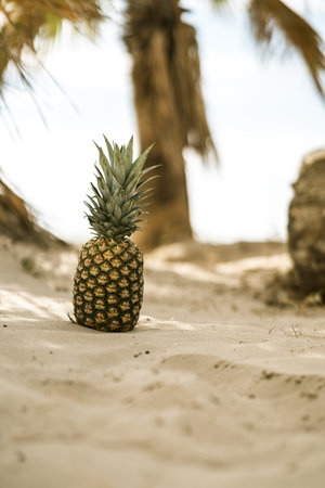 A vertical shot of a fresh pineapple on a sandy beach under palm treesの写真素材