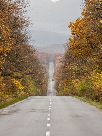 A vertical shot of a car driving through an autumn forest