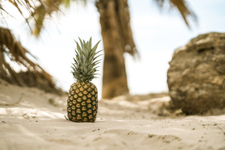 A fresh pineapple on a sandy beach under palm treesの写真素材