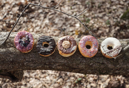 A top view of donuts with different toppings on a tree log