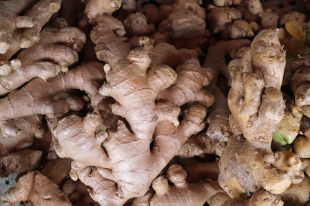 Ginger for sale at the market, Chiang Mai Thailand.の写真素材