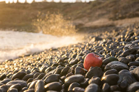 A selective focus shot of a juicy red apple set on pebbles at the beach with splashes of water in the backgroundの写真素材