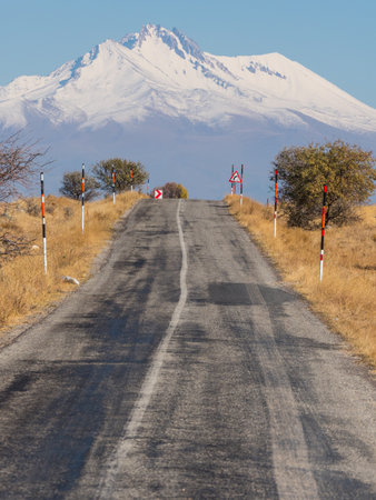 A vertical shot of a road with a snow-covered mountain in the backgroundの写真素材