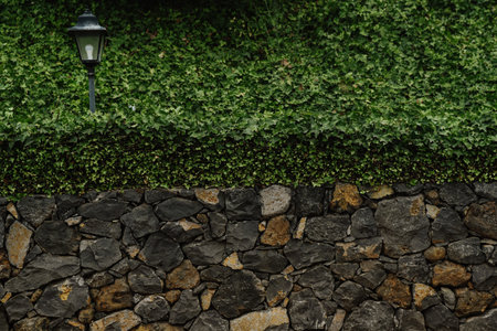 A stone and ivy wall with a lamppostの写真素材