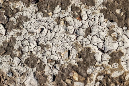 A closeup shot of dry agricultural grounds and acreの写真素材