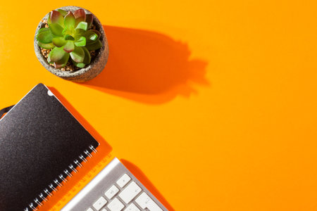 A top view of a notepad and a keyboard with a plant on an orange backgroundの写真素材
