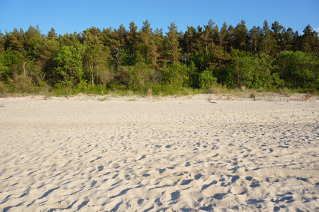 The bare footsteps on the sand on a beachの写真素材
