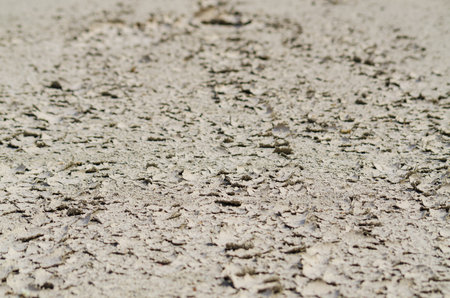 Grungy texture of dry and cracked earth surface. Cracks in the ground.の写真素材