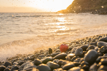 A beautiful background of a red apple on a pile of pebbles at the beach with golden sunlight shining on them during sunsetの写真素材