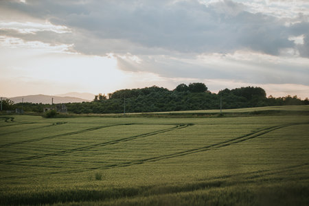 A green field in the countrysideの写真素材