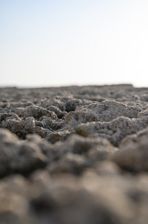A vertical shot of mossy rock formations at the beach