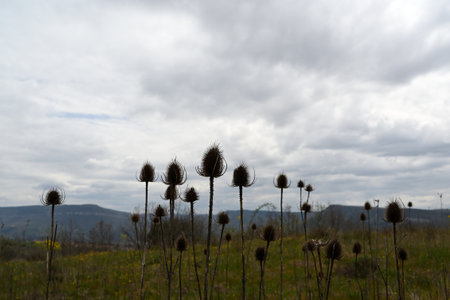 photography taken at the end of the dayの写真素材