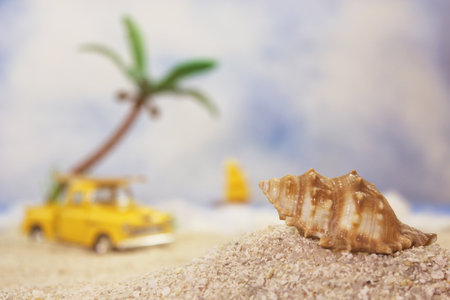 A closeup shot of a seashell on tropical beach sand in a studioの写真素材