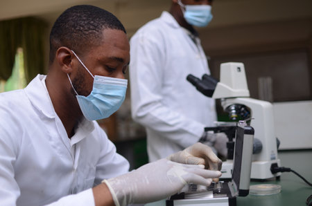 Two scientist microbiologists with uniforms working with test tubes and a microscope in a laboratoryの写真素材