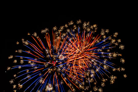 Dark sky with colorful firework blast