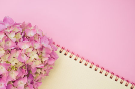 A top view of a bouquet of hydrangeas with a blank notepad isolated on a pink background with space...