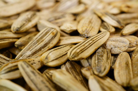 A selective focus shot of suの写真素材