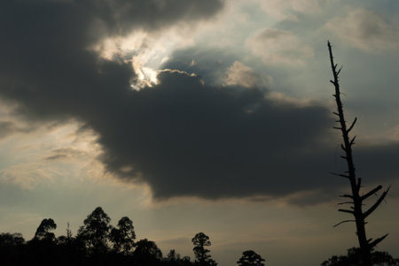 Dramatic sunset in rural area, silhouette of trees and mountains, force of nature, heavenly...