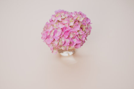 A closeup of a bouquet of hydrangeas on a beige background with space for textの写真素材