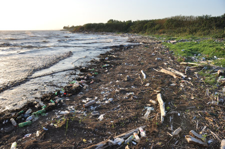 Polluted coast of the Rio de la Plata river, Buenos Aires, Argentina
