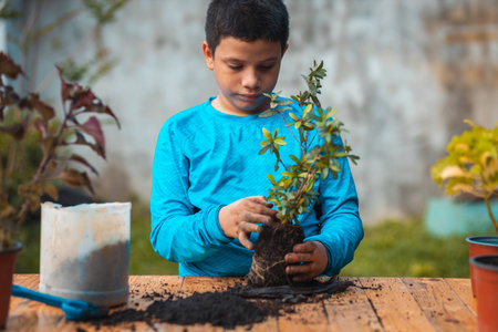 boy with light blue sweater preparing the plant to sow it in his potの写真素材
