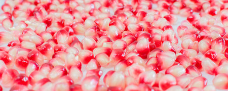 Fresh pomegranate seeds. Banner.の写真素材