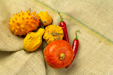 Ornamental pumpkins, kiwano, chilli peppers on a bag, top view