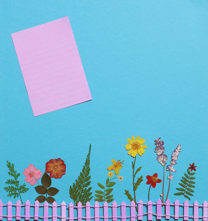 Dried Flowers on Blue Paper Background With Blank paper Cardの写真素材