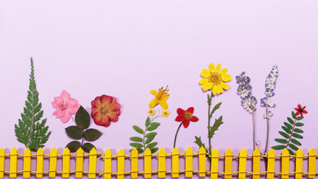 Dried Flowers on Pink Paper With Yellow Picket Fenceの写真素材