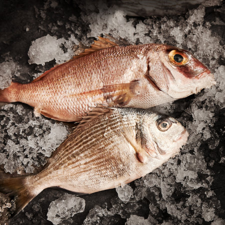 From above of uncooked fresh seabream fish placed on table with ice on seafood market