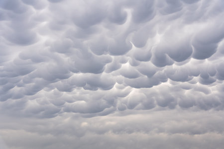 Beautiful clouds formation with sheep shape on a cloudy rainy dayの写真素材
