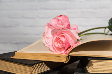 a bouquet of pink roses and books on rustic woodの写真素材