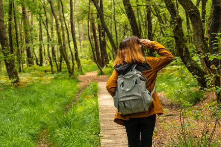 A young girl on the wooden footpath at Lake Paimpont in the Broceliande forest, Ille-et-Vilaine...