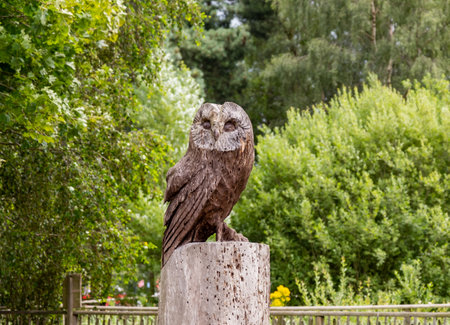 Festival of Wheels, Ipswich â July 2021. Close and selective focus on an owl statue carved out of wood with shallow depth of field and bokehの写真素材