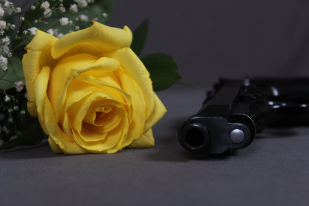 Yellow Rose on Table With Black Pistolの写真素材