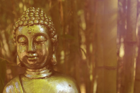 Buddha Statue in bamboo forestの写真素材