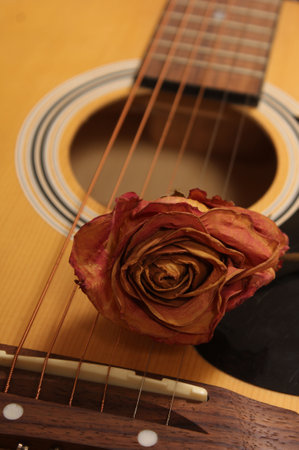 Classic Acoustic Guitar With Dried Roses