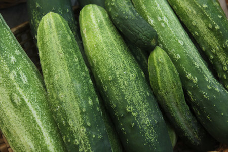Cucumbers for Sale at Farmers Marketの写真素材