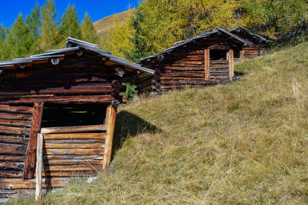 hay barn on alpine meadow close to Matrei in Osttirol, Tyrol, Austriaの写真素材
