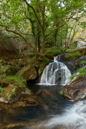 Beautiful waterfall on the river of the same name (rio da Patela) in the community of Galicia,...